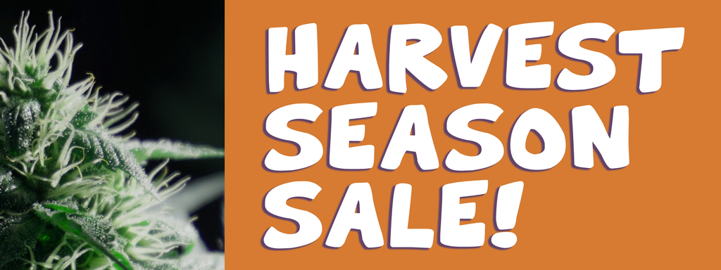 Harvest Season Sale