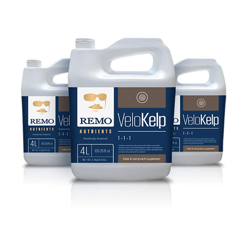 VeloKelp by Remo Nutrients